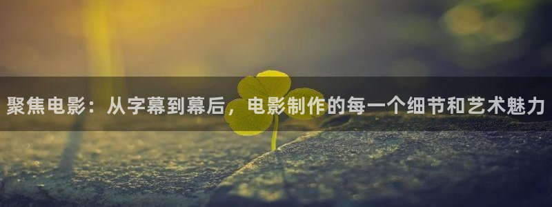 奇优影院入口：聚焦电影：从字幕到幕后，电影制作的每一个细节和艺术魅力