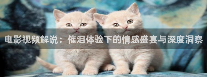 奇优影院在线免费：电影视频解说：催泪体验下的情感盛宴与深度洞察