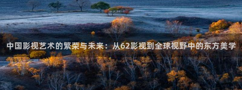 奇优影视连续剧手机版：中国影视艺术的繁荣与未来：从62影视到全球视野中的东方美学