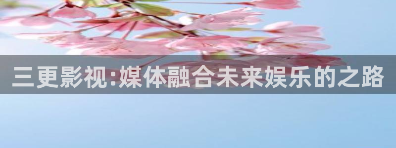 奇优影视2024：三更影视:媒体融合未来娱乐的之路