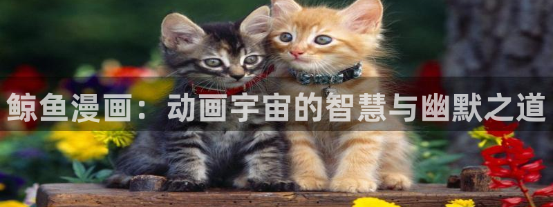 奇优影院在线影院：鲸鱼漫画：动画宇宙的智慧与幽默之道