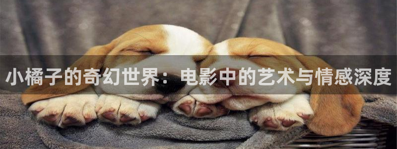 奇优影院高清版免费：小橘子的奇幻世界：电影中的艺术与情感深度