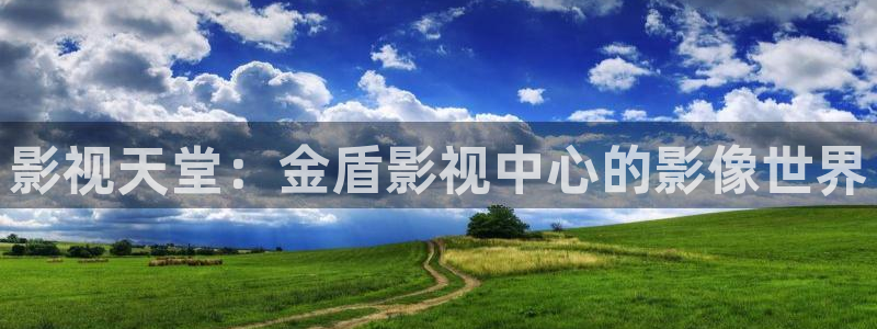 奇优影院狂飙：影视天堂：金盾影视中心的影像世界