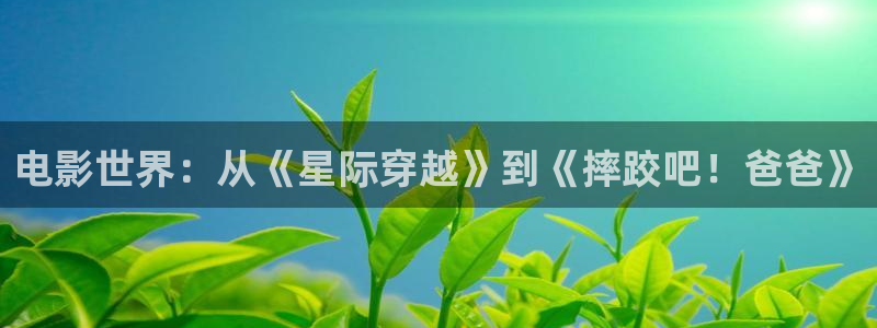 奇优影院电脑版在线播放：电影世界：从《星际穿越》到《摔跤吧！爸爸》