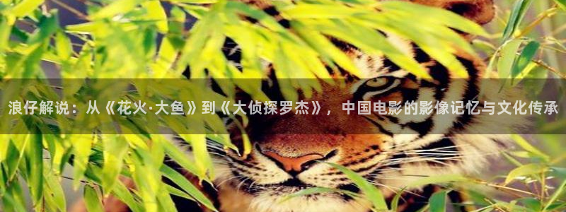 奇优影院手机版手机在线观看：浪仔解说：从《花火·大鱼》到《大侦探罗杰》，中国电影的影像记忆与文化传承