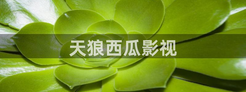 奇优影院电视剧免费观看入口有哪些?：天狼西瓜影视