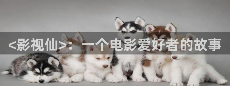 奇优影院动漫：<影视仙>：一个电影爱好者的故事
