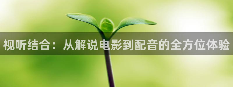 奇优影院电视剧高清免费观看