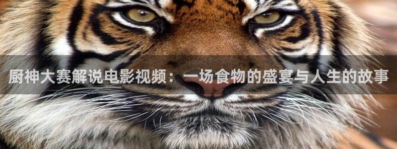 奇优影院在线高清免费观看：厨神大赛解说电影视频：一场食物的盛宴与人生的故事