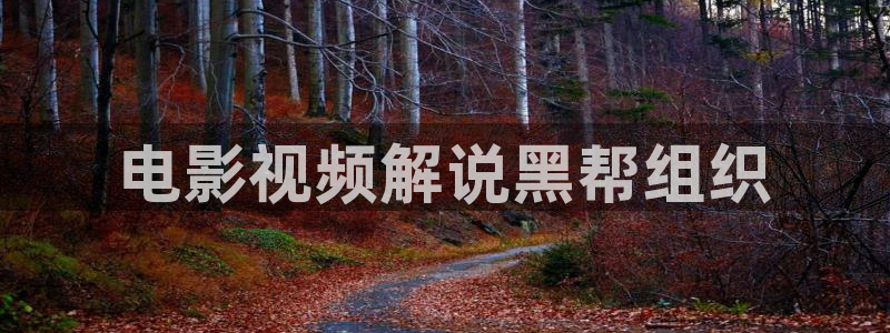 奇优影院电视剧免费版：电影视频解说黑帮组织
