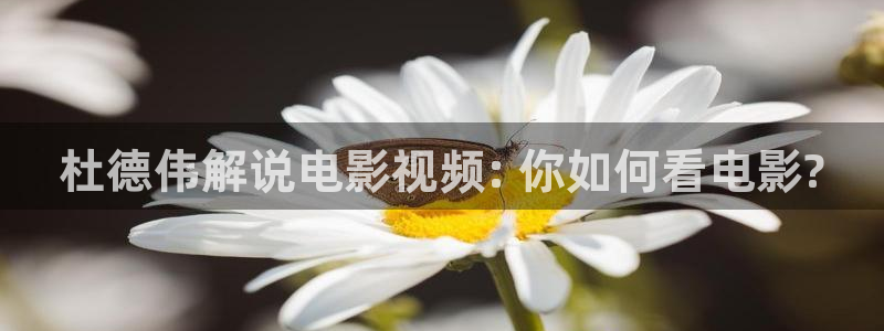奇优影院 伦理片：杜德伟解说电影视频: 你如何看电影?