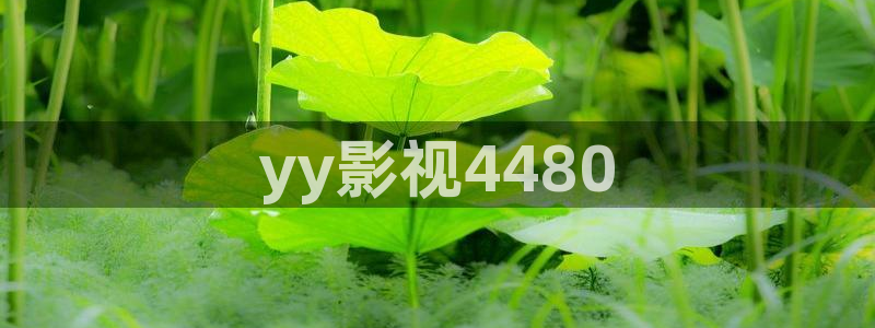 奇优影院手机版免费：yy影视4480