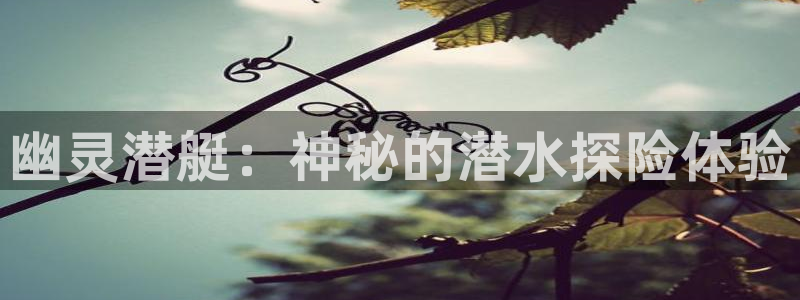 奇优影院-2025热门院线电影：幽灵潜艇：神秘的潜水探险体验